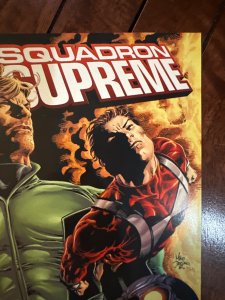 Squadron Supreme #8 (2009)