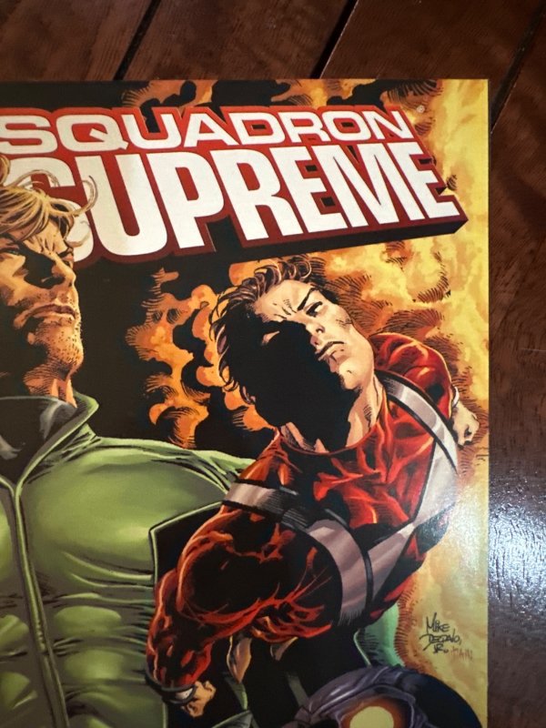 Squadron Supreme #8 (2009)