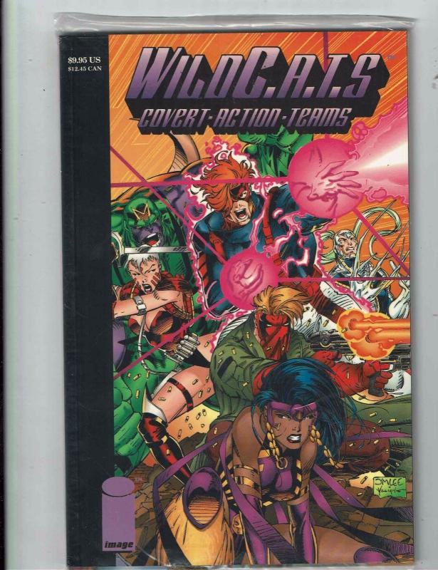 13 Wildcats Image Comics # 1 (2) 2 (2) 3 4 (2) 5 Trilogy # 1 (2) 2 # 1 & TPB RC3