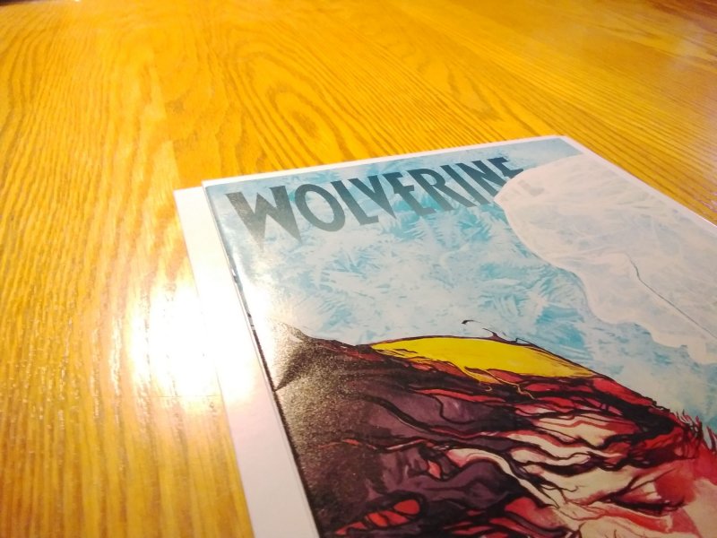 Wolverine #317 (2013)