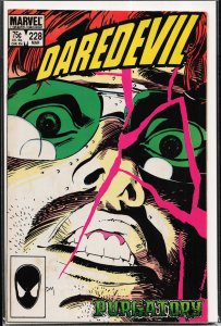 Daredevil #228 (1986) Daredevil