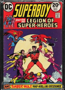 Superboy #197 (1973)