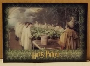 Artbox Harry Potter 3D Series 1 #28