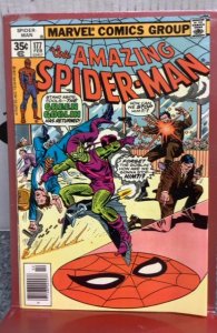 The Amazing Spider-Man #177 (1978)