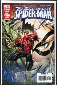 The Sensational Spider-Man #24 (2006)