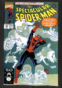 The Spectacular Spider-Man #181 (1991)