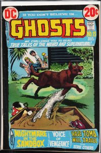 Ghosts #13 (1973)