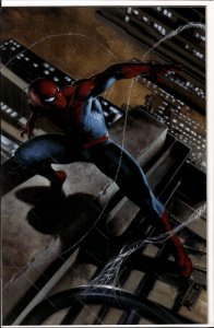 Spider-Man #5 Dell'Otto Virgin Cover (2023)