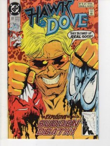 HAWK & DOVE #22, VF/NM, Kesel, 1989 1991, DC Comics, Sudden Death, more in store