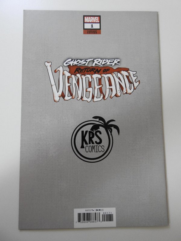Ghost Rider: Return of Vengeance #1 Variant Edition