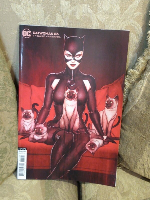 CATWOMAN 26 Frison Cover B variant NM  1st Father Valley 2018 Series