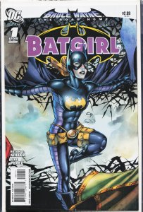 Bruce Wayne: The Road Home: Batgirl (2010) Batgirl