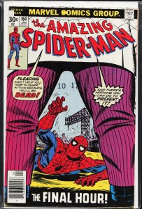 The Amazing Spider-Man #164 (1977) Spider-Man