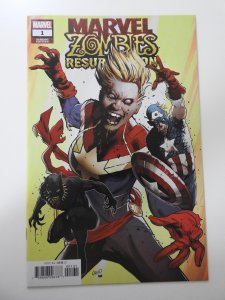 Marvel Zombies: Resurrection #1 Variant Edition (2019)