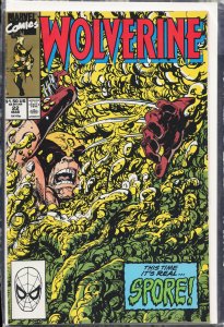 Wolverine #22 (1990) Wolverine