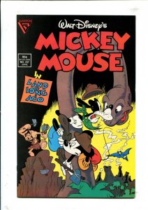 Mickey Mouse #247 - Daan Jippes Cover Art (8.5/9.0) 1989