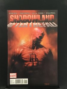 Shadowland: After the Fall (2011)