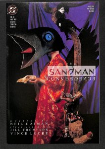 Sandman (ES) #7 