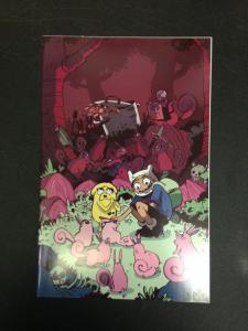 Adventure Time 18 Cover B Virgin Variant NM