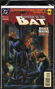 Batman: Shadow of the Bat #23 (1994) Bruce Wayne