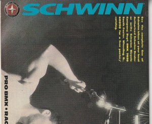 Fantastic Four(vol. 1) # 326 Under The Watcher's Thrall