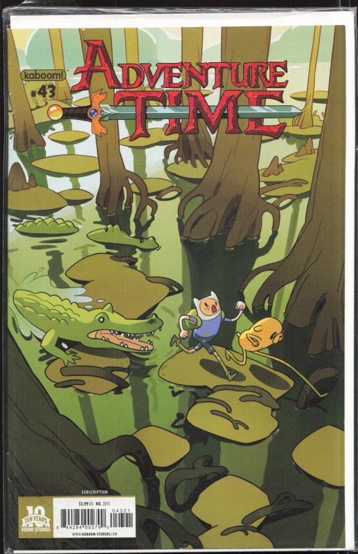 Adventure Time #43 Vivian Ng Subscription Variant (2015) Finn