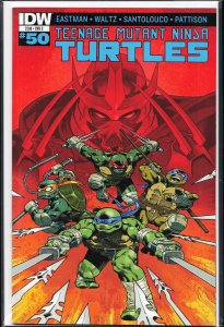 Teenage Mutant Ninja Turtles #50 Cover C (2015)