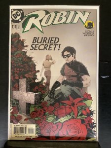 Robin #111 (2003)
