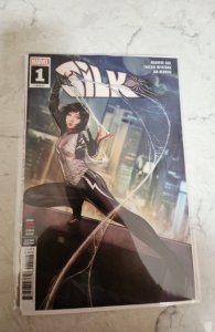 Silk #1 (2021)