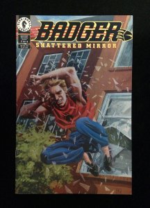 Badger Shaterred Mirror #2  DARK HORSE Comics 1994 VF/NM