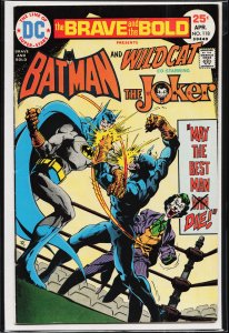 The Brave and the Bold #118 (1975) Wildcat