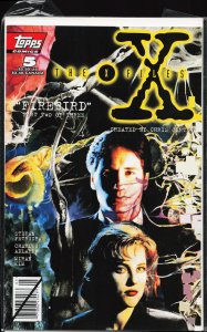 The X-Files #5 (1995) The X-Files