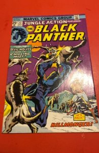 Jungle Action #12 (1974)black panther vs killmonget