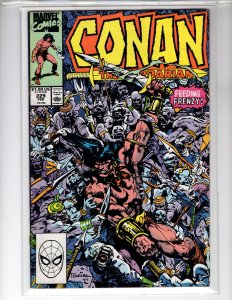 Conan the Barbarian #229 (1990)- [NSC•ECA8]