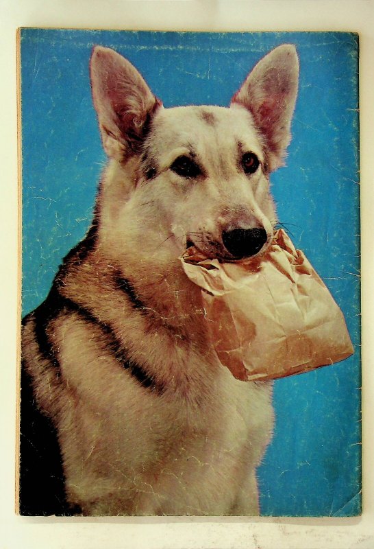 Four Color #434 - Rin Tin Tin (1952, Dell) - Good