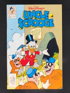 Uncle Scrooge #252 (1991)
