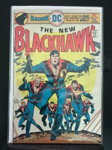 Blackhawk #244 (1976)