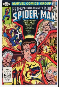 The Spectacular Spider-Man #67 (1982) Spider-Man