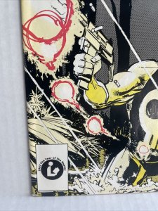 Punisher #2 1987 High Grade