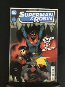 Superman & Robin Special (2022)