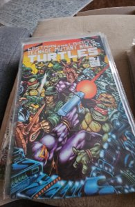 Teenage Mutant Ninja Turtles #7