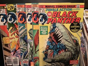 Jungle Action #14 to 24 mix (1975) mid high grade Black Panther set most FN/VF