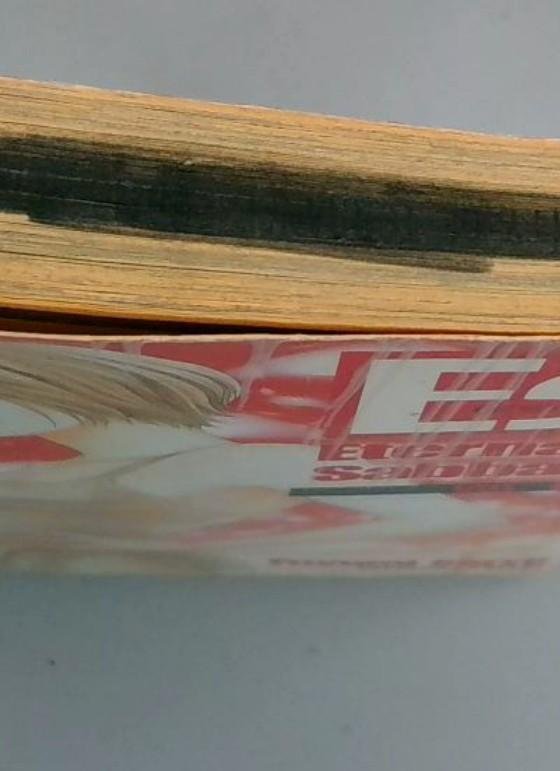 Eternal Sabbath #5, Fuyumi Soryo, Del Rey