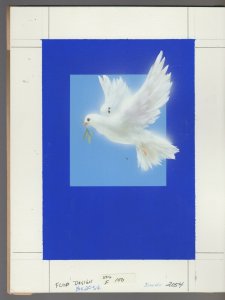 PEACE White Dove with Olive Branch 8x10 Greeting Card Art #2054 with 15 cards