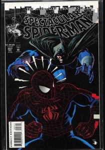 The Spectacular Spider-Man #207 (1993) Spider-Man