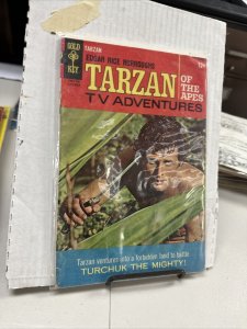 Gold Key Tarzan #171 silver age comic books 1967 Edgar Rice Burroughs