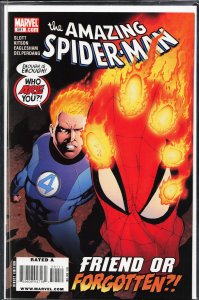 The Amazing Spider-Man #591 (2009)