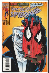 The Spectacular Spider-Man #206 (1993) Spider-Man