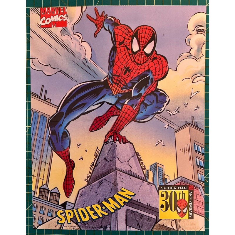 Spider-Man 30th Anniversary 1992 Marvel Poster | Comic Books - Modern Age,  Spider-Man / HipComic