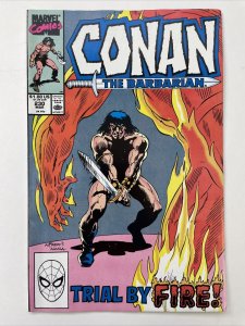 Conan The Barbarian 230